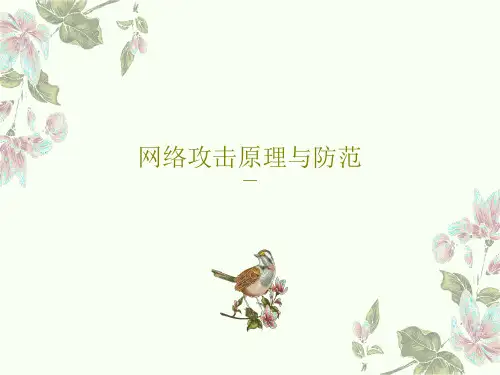 网络攻击原理与防范47页PPT