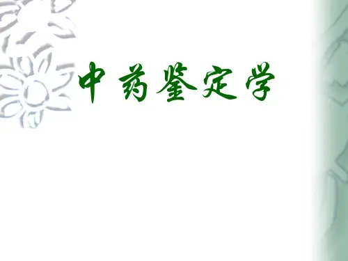 中药鉴定学