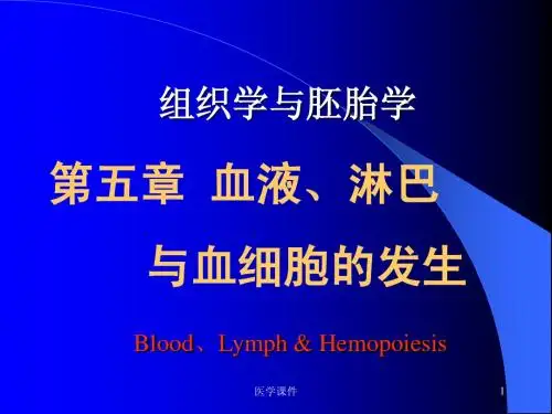 组织胚胎学——血液、淋巴与血 PPT课件