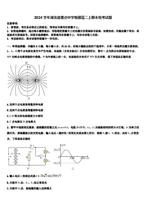 2024学年湖北省重点中学物理高二上期末统考试题含解析