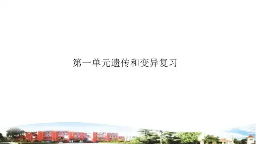 新青岛版六年级科学上册第一单元复习(课件)