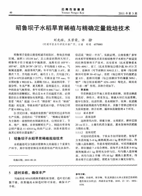 昭鲁坝子水稻旱育稀植与精确定量栽培技术