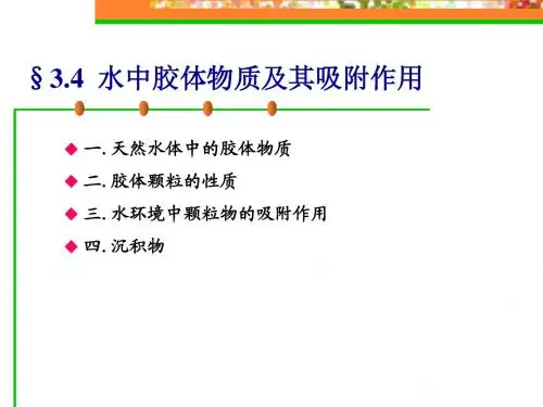 固-液界面相互作用