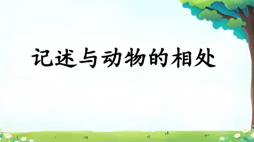 写作 《记述与动物的相处》课件-七年级语文上册(统编版2024)