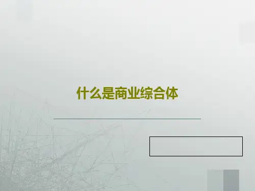 什么是商业综合体PPT29页