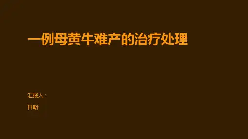 一例母黄牛难产的治疗处理