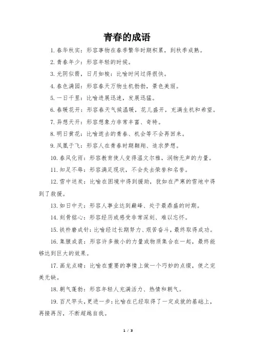 青春的成语