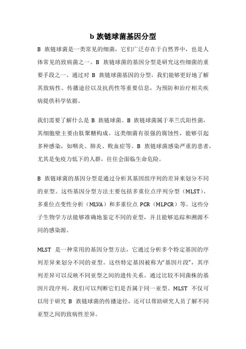 b族链球菌基因分型