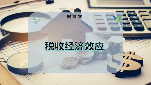 税收经济效应