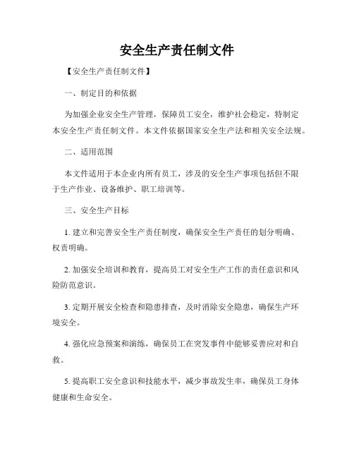 安全生产责任制文件