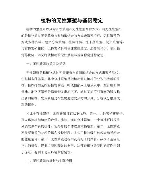 植物的无性繁殖与基因稳定