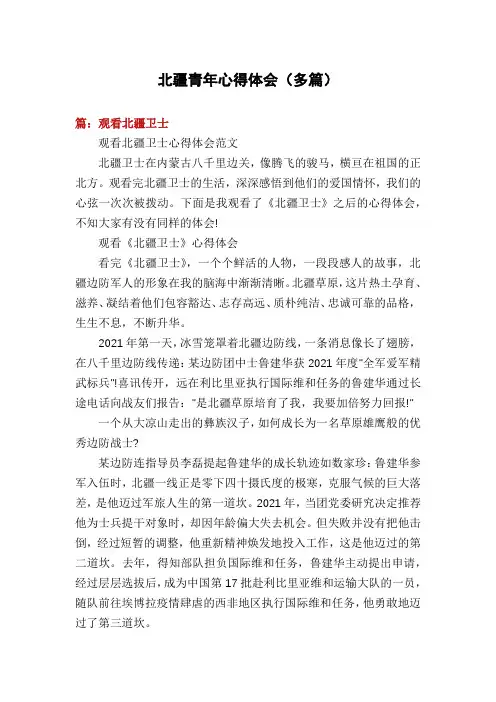 北疆青年心得体会(多篇)