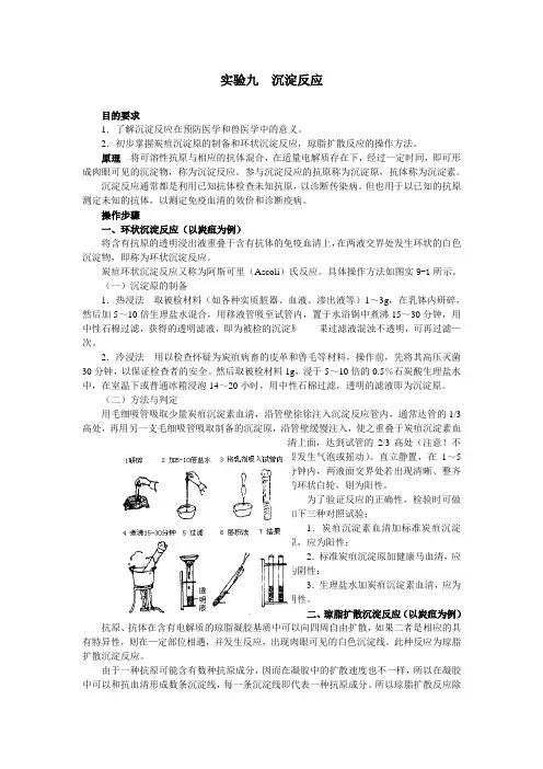 实验九  沉淀反应