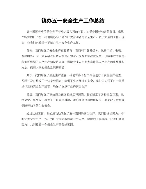 镇办五一安全生产工作总结