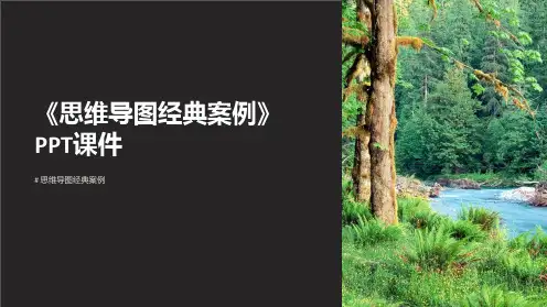 《思维导图经典案例》课件