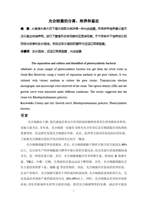 光合细菌的分离、培养和鉴定