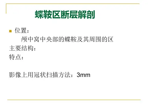 断层解剖学课件：07-蝶鞍区断层解剖