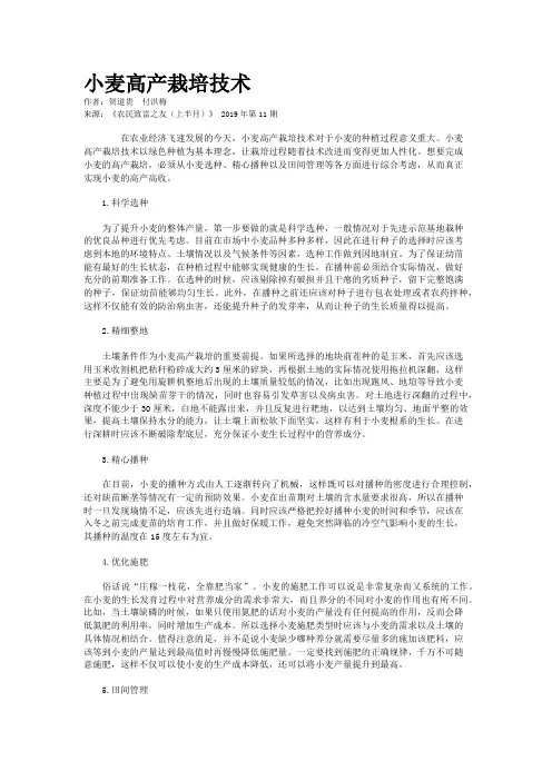小麦高产栽培技术