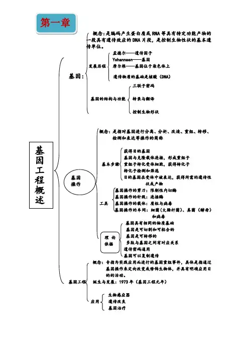 基因工程思维导图(1)