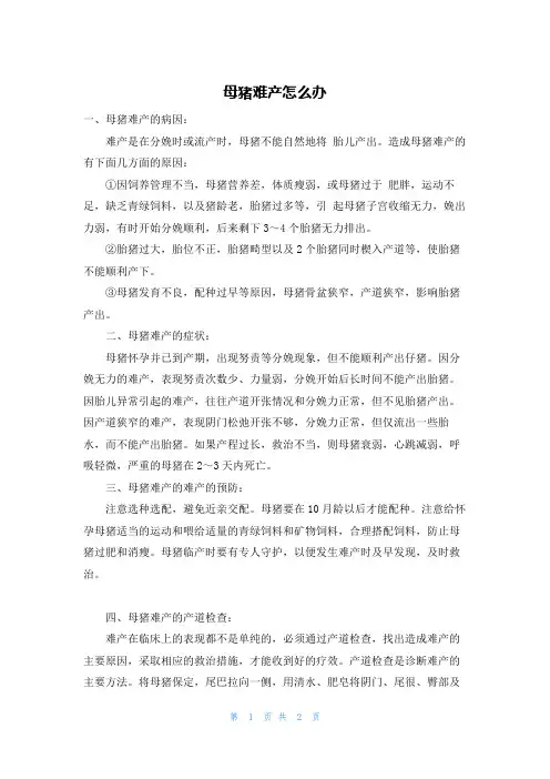 母猪难产怎么办