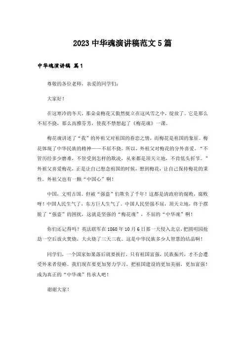 2023中华魂演讲稿范文5篇