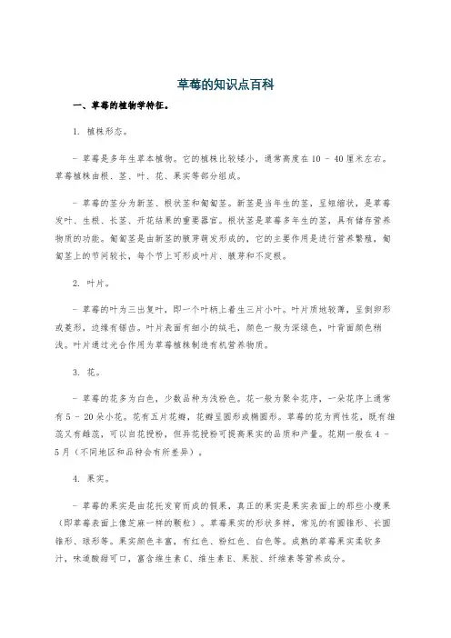 草莓的知识点百科