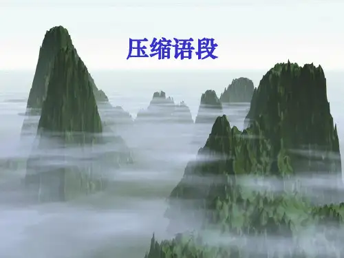 压缩语段精华PPT课件