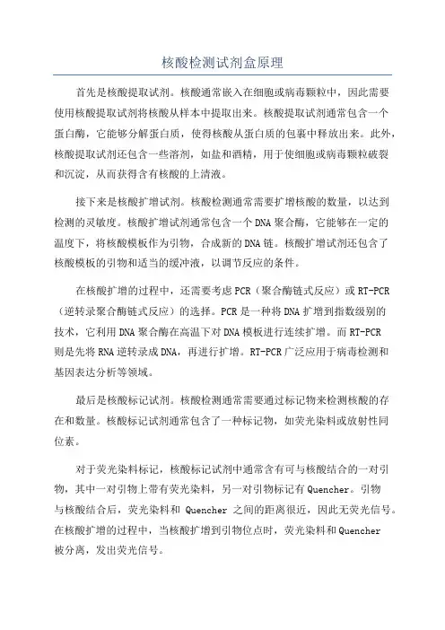 核酸检测试剂盒原理