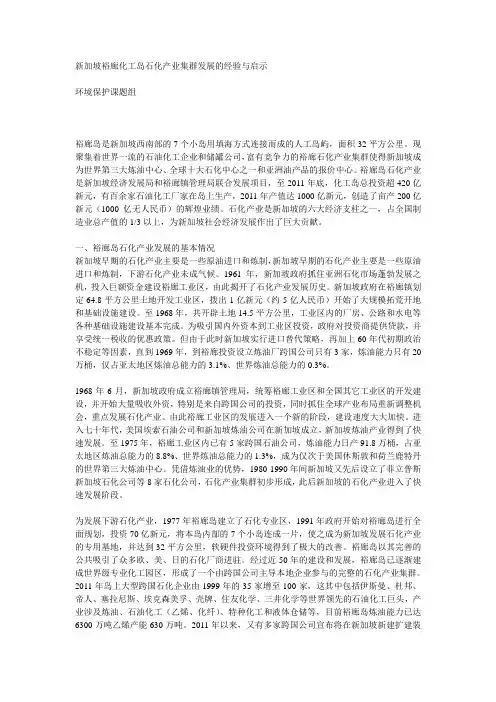 新加坡裕廊化工岛石化产业集群发展的经验与启示