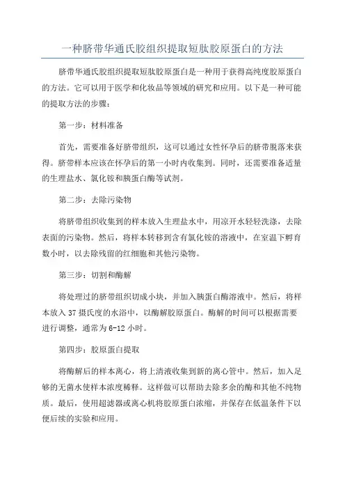 一种脐带华通氏胶组织提取短肽胶原蛋白的方法
