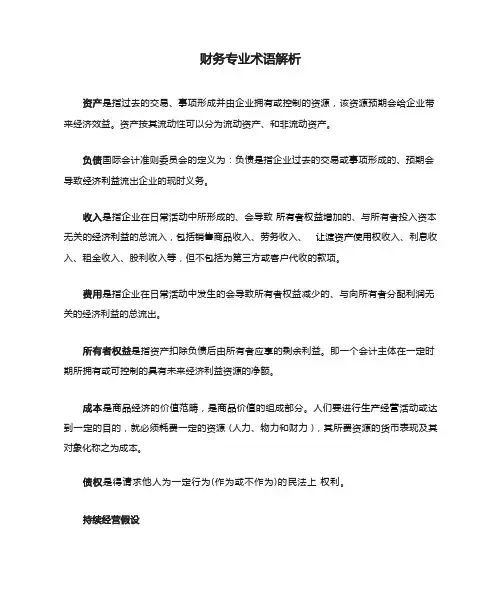 财务专业术语解析