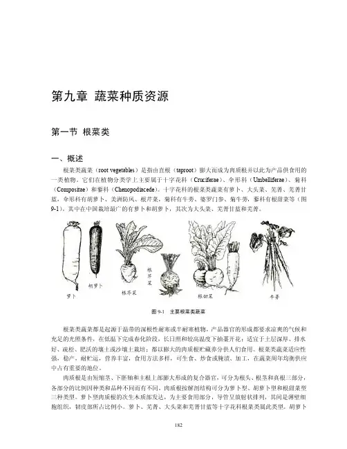 第九章蔬菜种质资源