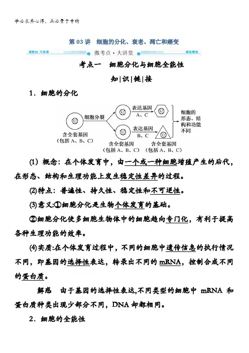 2018版高考生物大一轮复习教师用书：①第4单元第03讲 细胞的分化、衰老、凋亡和癌变