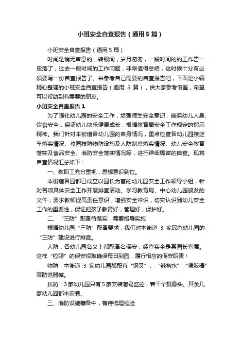 小班安全自查报告（通用5篇）