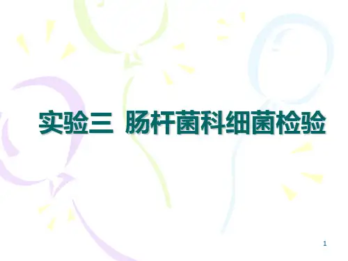 肠杆菌科细菌检验PPT课件