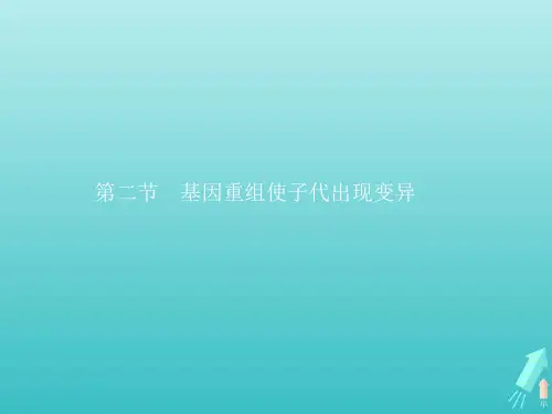 2021年高中生物第四章生物的变异第二节基因重组使子代出现变异课件浙科版必修2.pptx