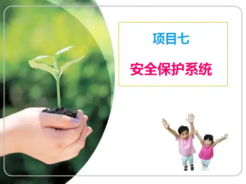 电梯安全保护系统ppt