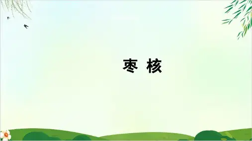 (人教部编版)三年级下册枣核(完美版)PPT课件