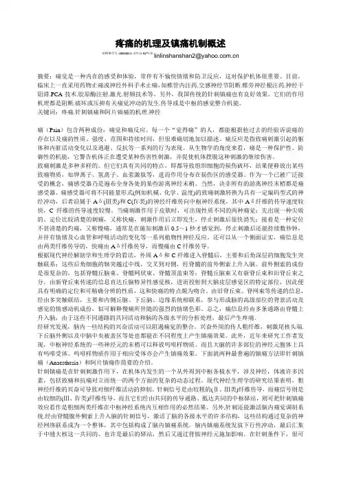 疼痛的机理及镇痛机制概述