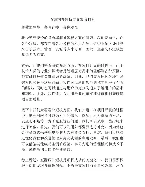 查漏洞补短板方面发言材料