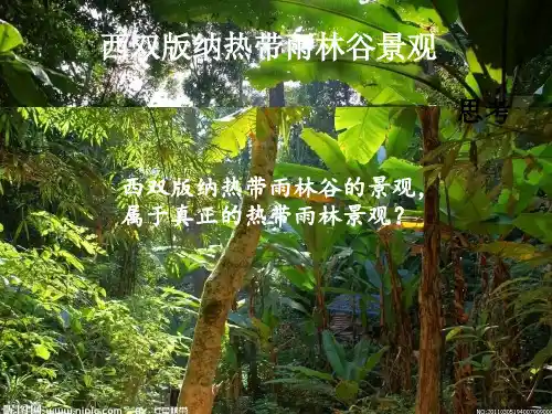 七年级地理上册 第4章 第4节《世界主要气候类型》课件1 湘教版(共26张PPT)