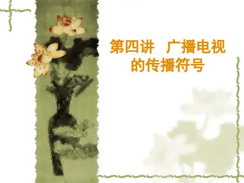 广播电视的传播符号PPT课件