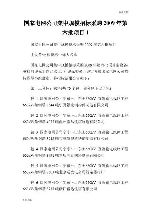 国家电网公司集中规模招标采购2009年第六批项目.doc