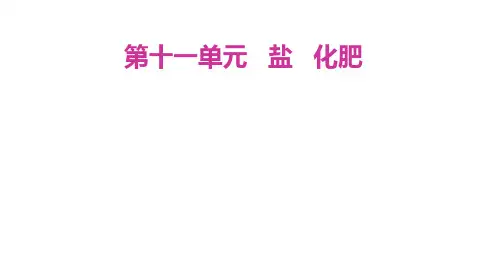 中考化学一轮复习精讲精练精测 第十一单元  盐和化肥 课件 (人教版)