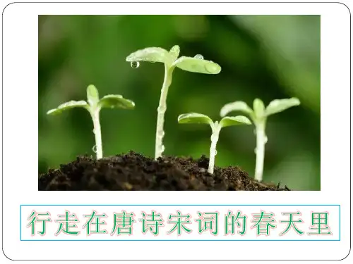 行走在唐诗宋词的春天里