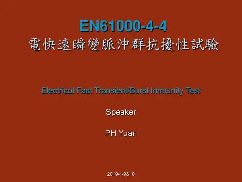 EN61000-4-4电快速瞬变脉冲群抗扰性试验