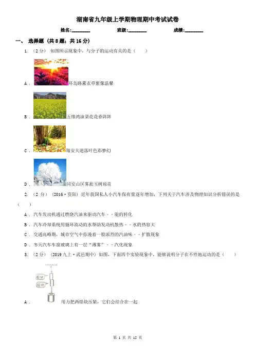 湖南省九年级上学期物理期中考试试卷