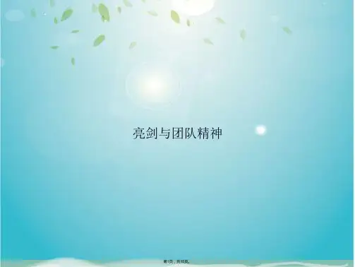 亮剑与团队精神(共15张PPT)