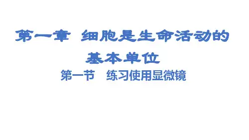 人教版七年级上册生物教学课件第一章  细胞是生命活动的基本单位