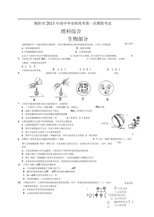 揭阳市高三一模生物试题有答案